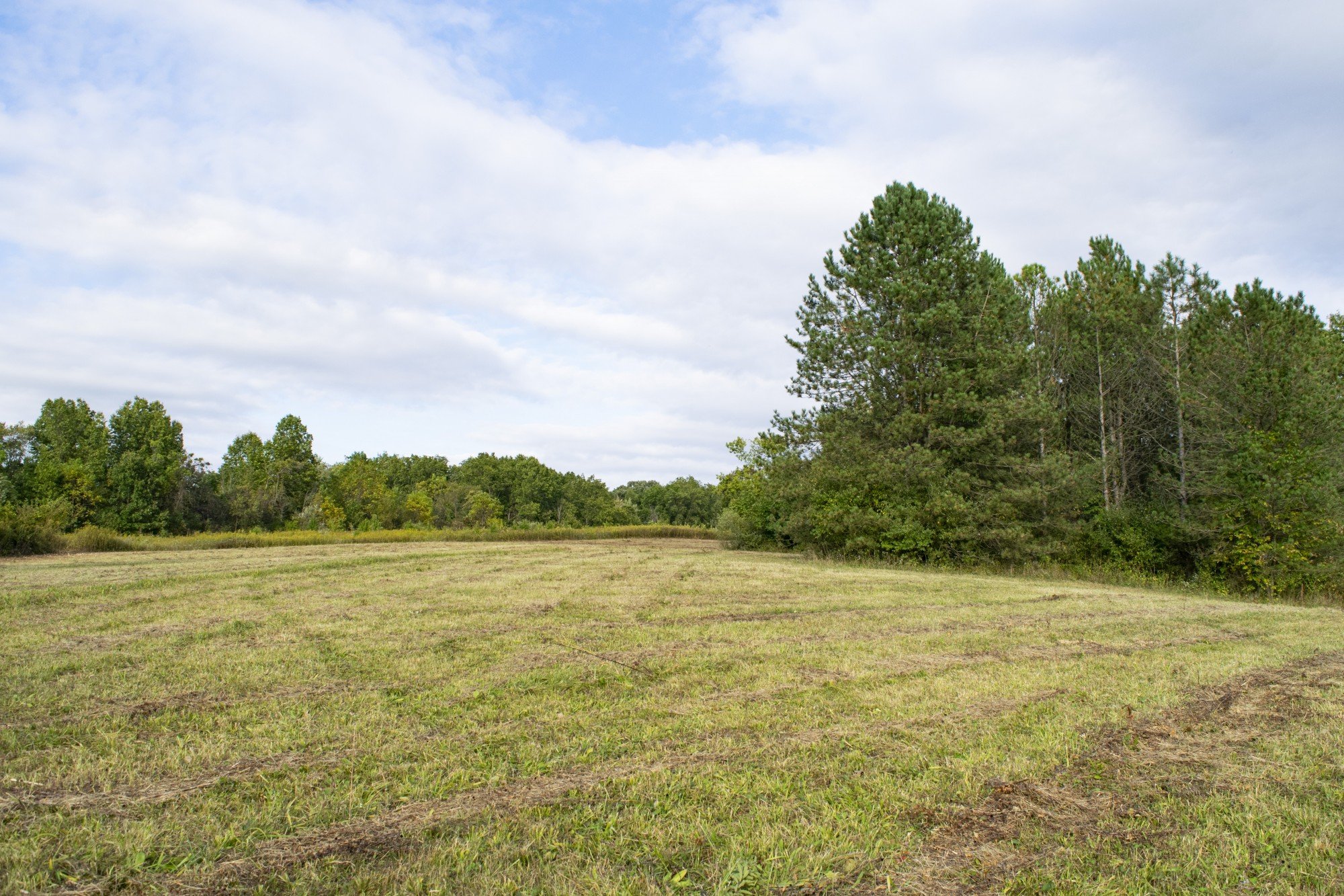 Sturges Property Group - Dickie Road Land Development in SW Fort Wayne (16 acres)